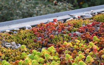 the cost of Fullabrook green roof installation