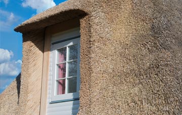 Fullabrook thatch roof disadvantages